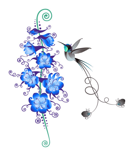 蜂鸟和鲜花图片下载