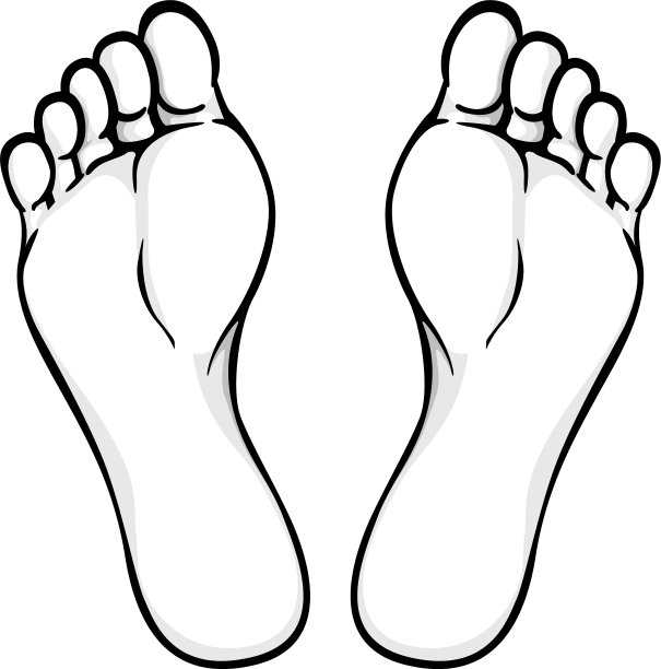 身体部位植物或脚底图片下载