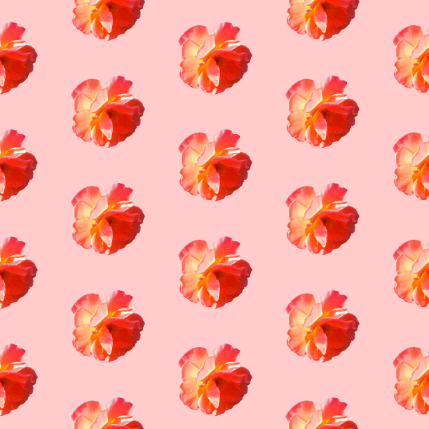 无缝图案与玫瑰在粉红色的背景。图片下载