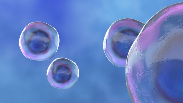 人类干细胞图片下载