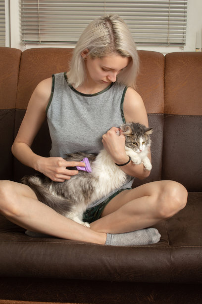 一个女人在梳理她的家猫图片下载