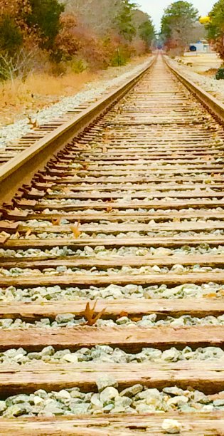 出轨的图片下载