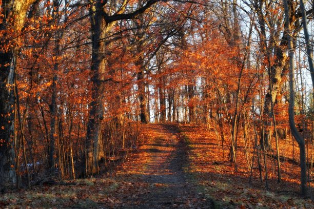 秋天的路径图片下载