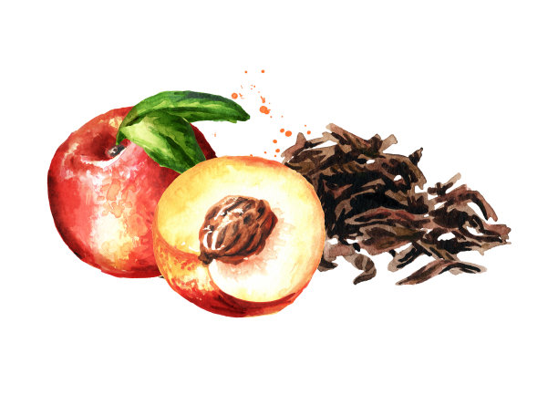 一堆干茶叶和桃子。手绘水彩插图孤立的白色背景图片下载