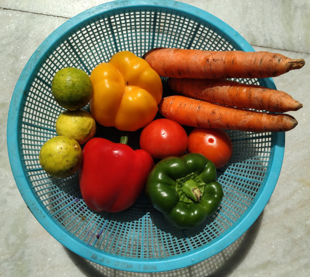 自家种植的有机新鲜蔬菜，放在篮子里。红色和黄色的甜椒，红色的番茄，绿色的辣椒，胡萝卜和柠檬。图片下载
