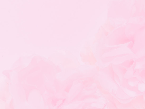 美丽抽象的颜色白色和粉红色的花在白色的背景和白色图形花框架和粉红色的叶子纹理，粉红色的背景，彩色图形横幅情人节快乐图片下载