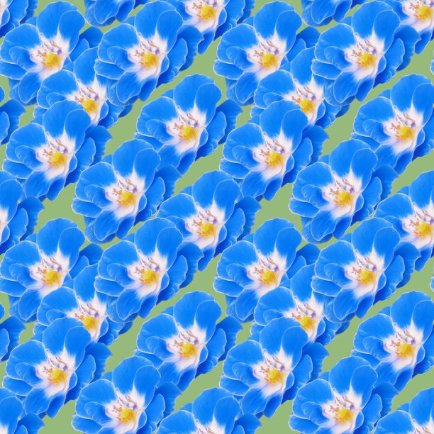 姿势,玫瑰花。插图，花的纹理。用于连续复制的无缝模式。花卉背景，照片拼贴为纺织品，棉布面料。用于墙纸，封面。图片下载