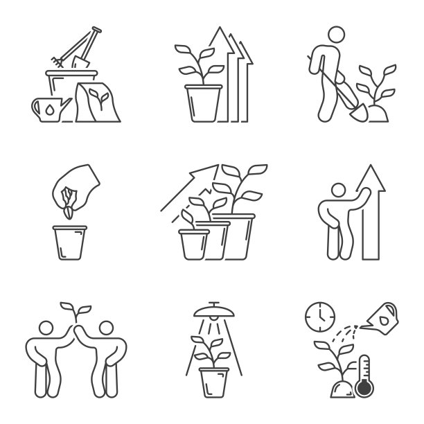 植物生长，种植，发展和护理图标集。求偶和成长是一体的。简单的线性图像。孤立的矢量在白色背景。图片下载
