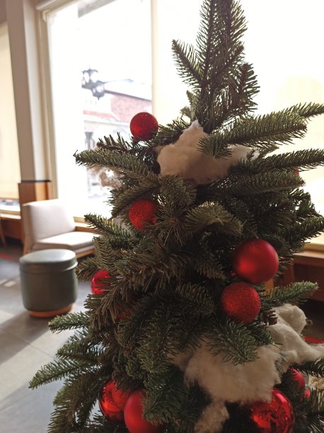 欢迎十二月，节日快乐XD图片下载