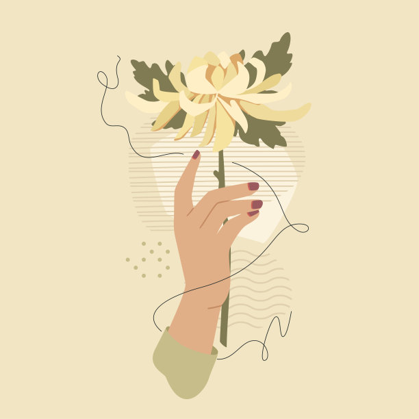 与菊花图片下载