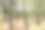 橡胶种植园。图片下载
