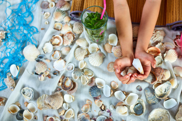 俯视图模拟夏季海滨度假隔离在家。图片下载