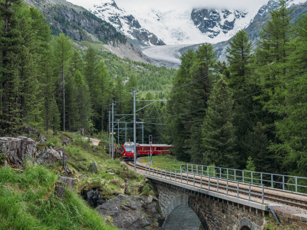 一列瑞士火车驶出冰川前的松树林图片下载