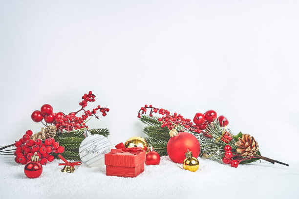 冬季或圣诞节主题横幅，圣诞作文。冷杉树枝图片下载