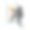 一个戴黑兜帽的罪犯爬进窗户偷东西。抢劫、盗窃。安全及财产保险图片下载