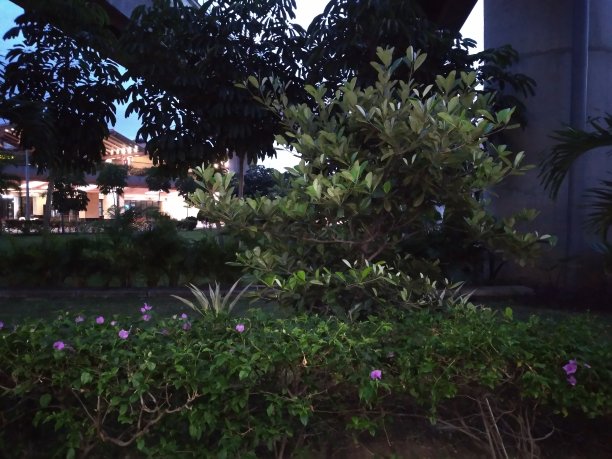 下面立交桥上的一个小公园图片下载