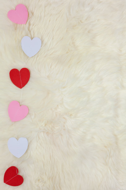 白色、粉色和红色纸心花环在羊皮乳白色毛皮地毯上，复制空间，平铺。情人节庆祝，浪漫概念。垂直图片下载