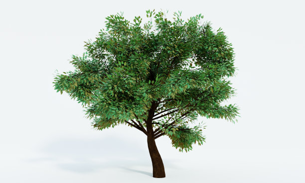 树干，棕色树皮。孤立在白色背景上。3 d渲染。图片下载