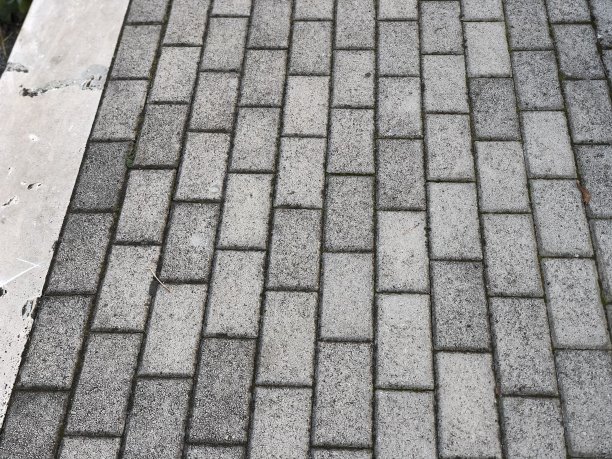 小径的观点图片下载