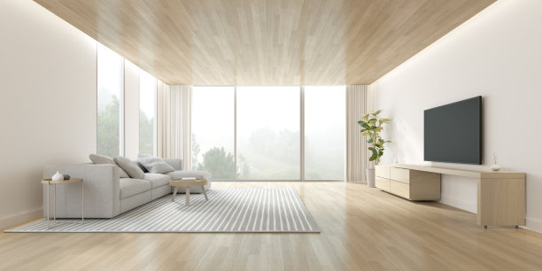 现代客厅的3D渲染，白色墙壁上的沙发和电视屏幕，以自然为背景。图片下载