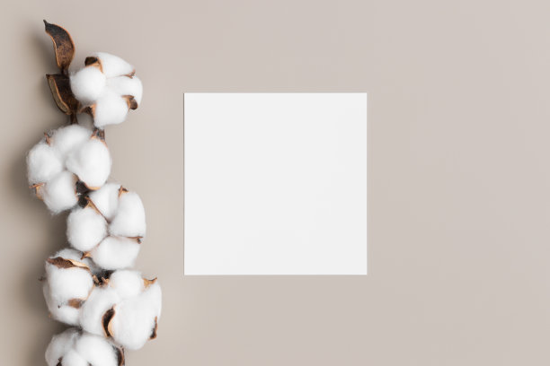 邀请方卡片模型与干棉花枝。图片下载