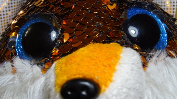 儿童的玩具，黑色的大眼睛，节日的装饰。图片下载