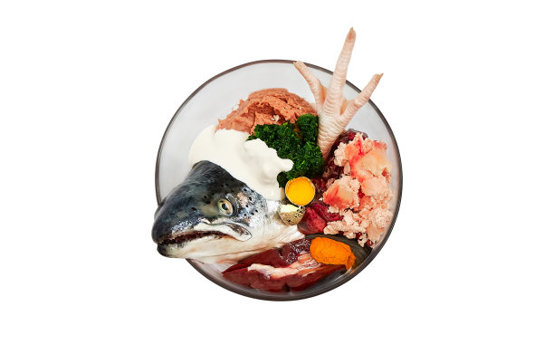 天然狗食配料碗孤立在白色背景。生鱼片、鸡肉、肉制品、蔬菜、鹌鹑蛋、维生素、补品。图片下载