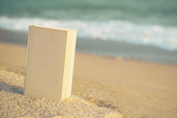 在海滩上打开书。图片下载