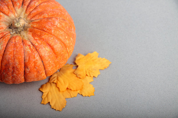 南瓜和黄色的秋叶在灰色的背景下平躺着图片下载
