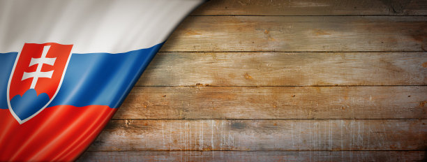 混凝土墙上的斯洛伐克国旗图片下载