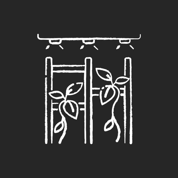 垂直花园粉笔白色图标上的黑色图片下载