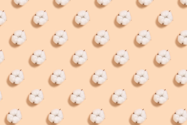 在米色背景上的干棉花花图案。图片下载