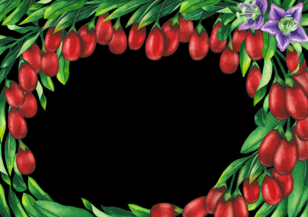 水彩枸杞浆果，花和叶。手绘花卉图案图片下载