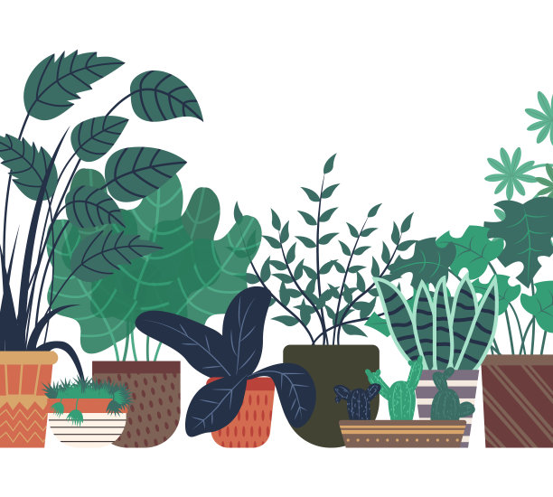 花盆，花架温室展示图片下载