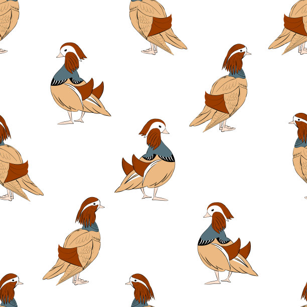 矢量插图无缝模式与鸭子在浮世风格，鸳鸯孤立在白色背景，可用于背景，在纺织，包装设计，横幅或卡片。图片下载