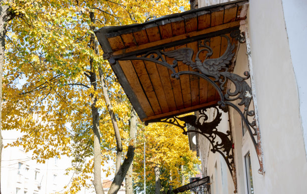 旧式的装饰性鸟类支撑着屋顶的天篷图片下载