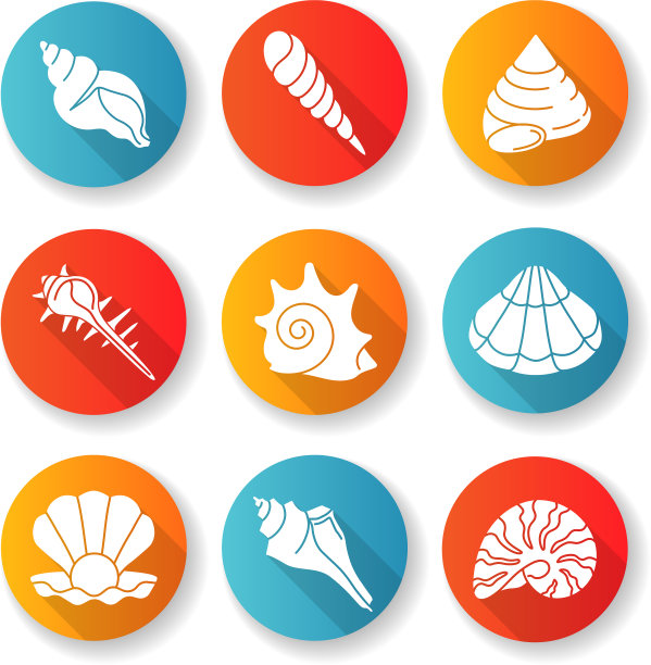 海贝壳平面设计长影子字形图标集图片下载