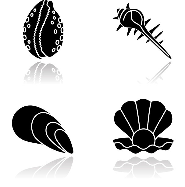 不同的海贝壳落下阴影黑色象形文字图片下载