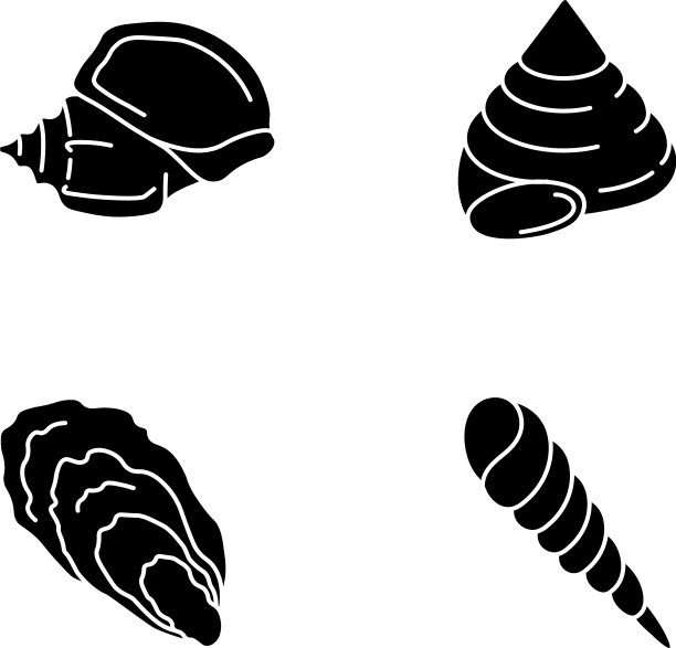 不同的贝壳，黑色象形文字图标设置图片下载