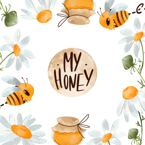 可爱沉默的雏菊花图片下载