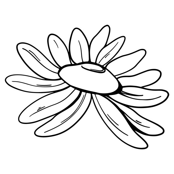 可爱沉默的雏菊花图片下载