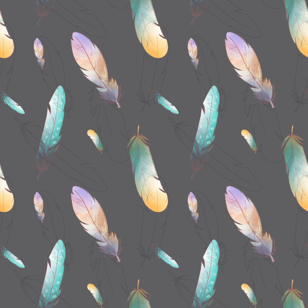 白色背景上可爱的羽毛图片下载