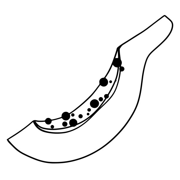 卡哇伊的热带水果图片下载