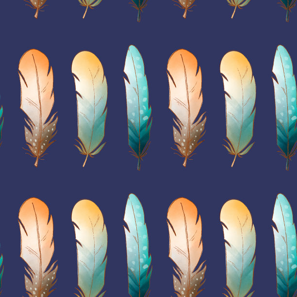 白色背景上可爱的羽毛图片下载