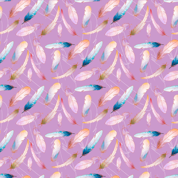 白色背景上可爱的羽毛图片下载