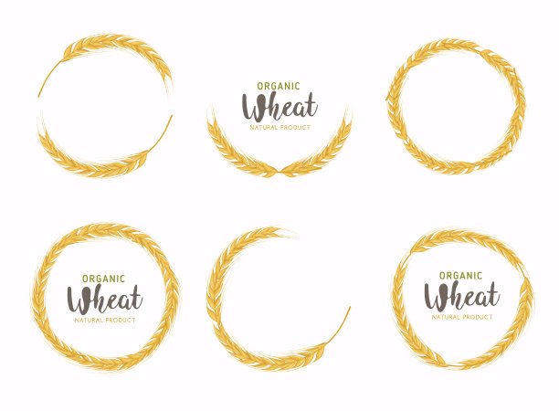 稻谷、小麦、有机粮食产品食品旗帜标识矢量设计。图片下载