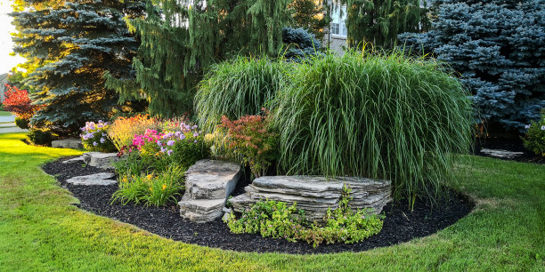 院子里黄昏图片下载