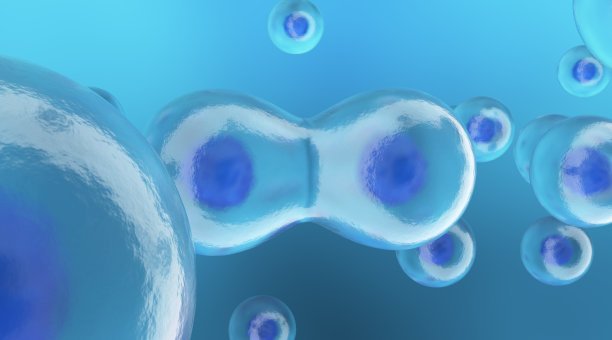 细胞分裂过程图片下载