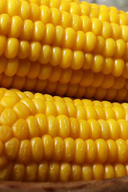 煮熟的玉米，健康纯素零食图片下载