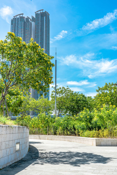 公园里空荡荡的人行道图片下载